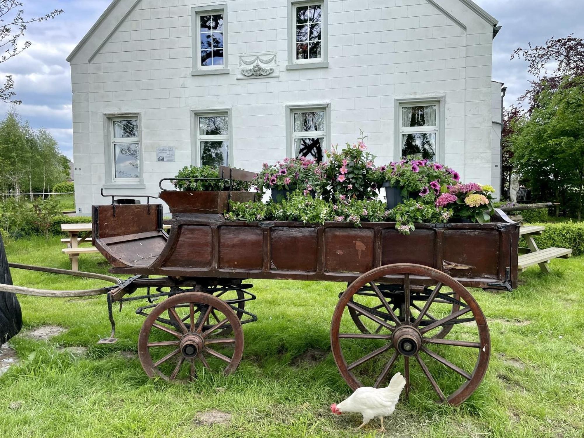 فيلا Steinhaus Hof Bunde  المظهر الخارجي الصورة